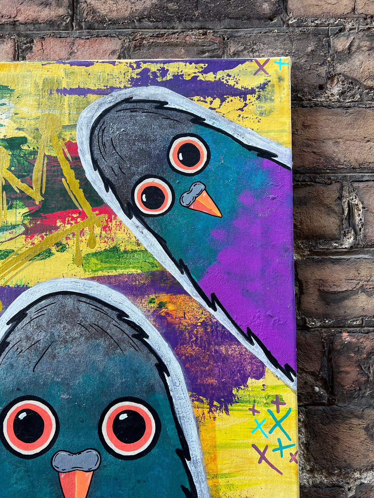 Columba Urbana