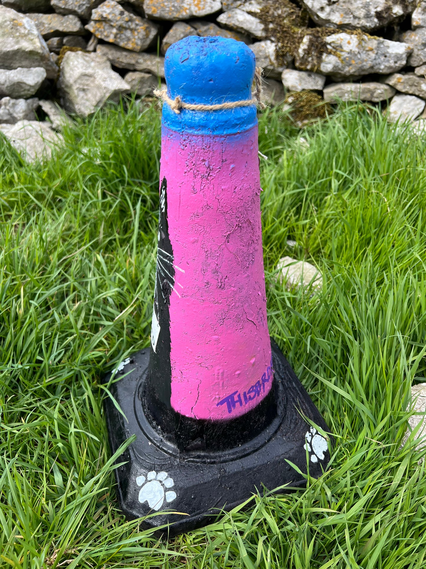 Custom Black Cat Road Cone