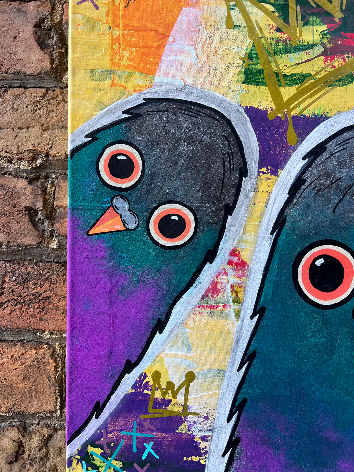 Columba Urbana