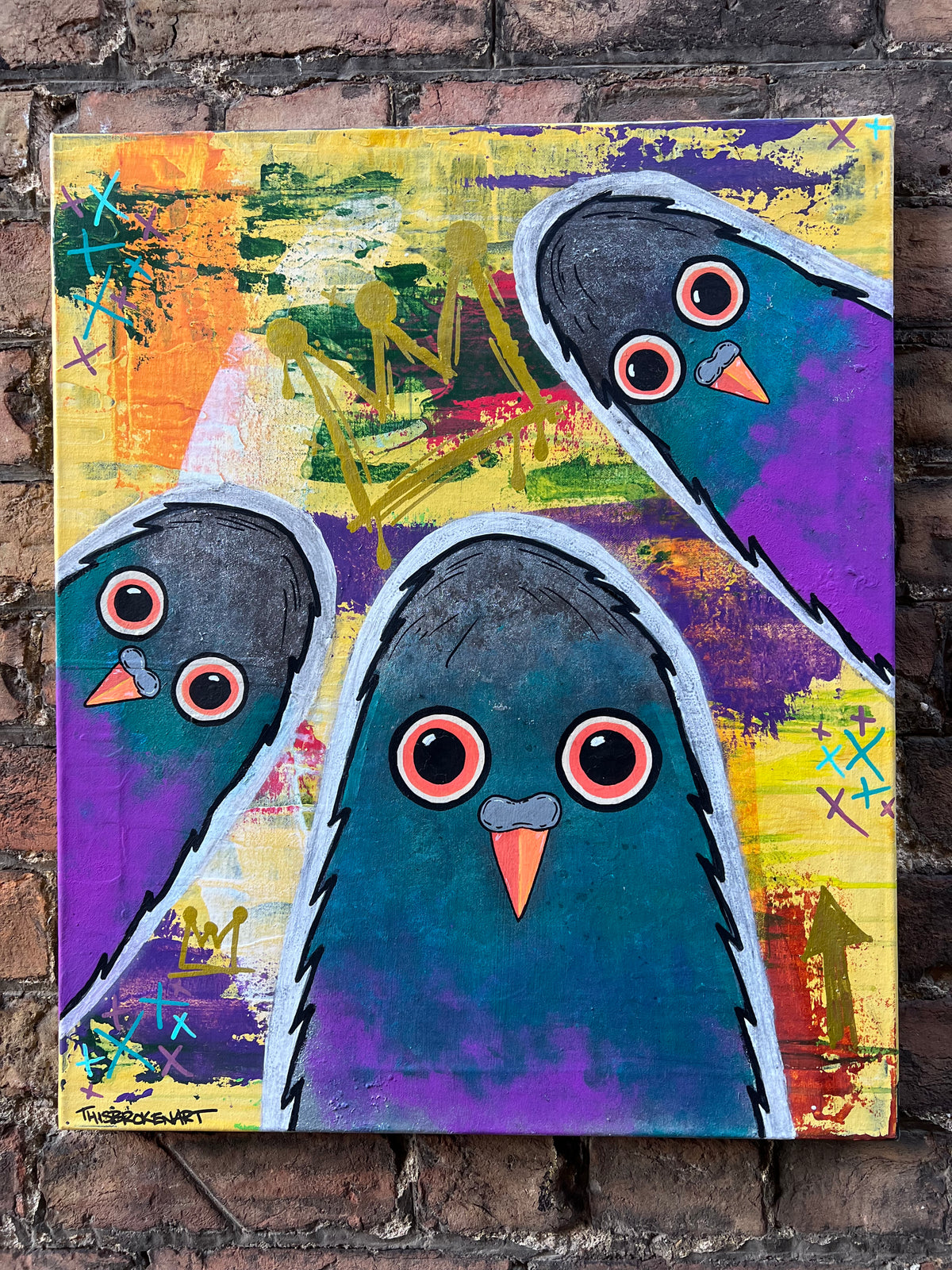 Columba Urbana