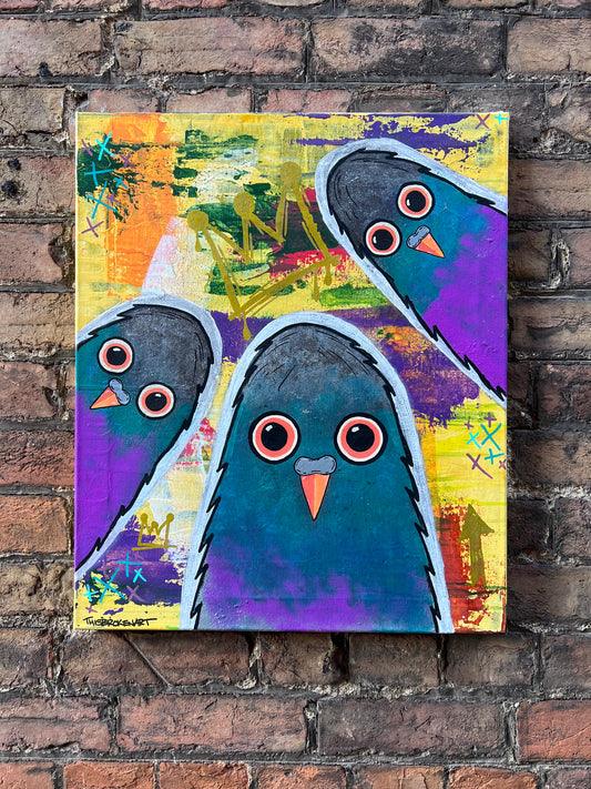 Columba Urbana